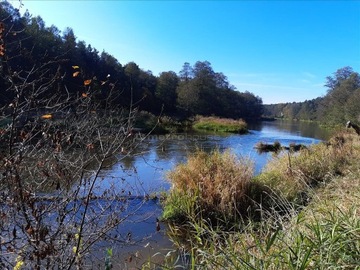 Działka, Przywóz, 13896 m²