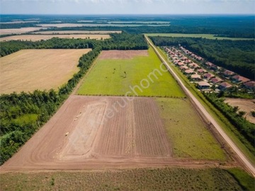 Działka, Domaniew, Brwinów (gm.), 5000 m²