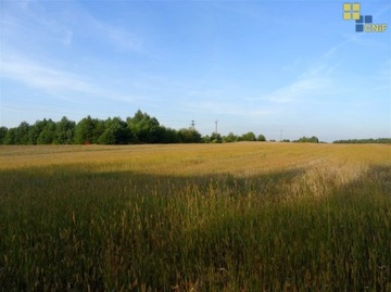 Działka, Długi Kąt, 56000 m²