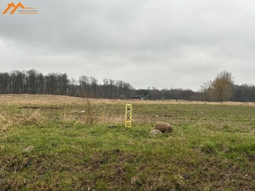 Działka, Stare Bielice, 110000 m²