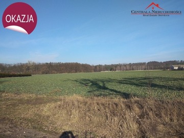 Działka, Brąchnowo, 1500 m²