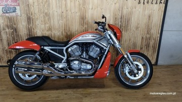 Harley-Davidson V-Rod (1250) bardzo ładny harley