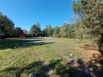 Działka, Izabela, Wiązowna (gm.), 1509 m²