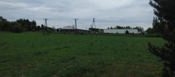 Działka, Aleksandrów Łódzki, 16800 m²