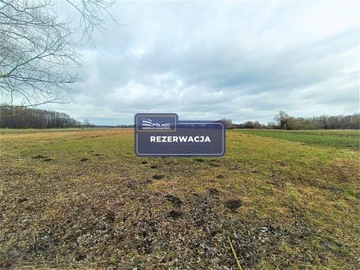 Działka, Terespol, Terespol, 53635 m²