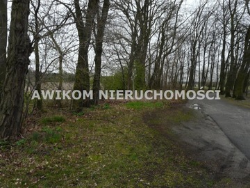 Działka, Nieborów (gm.), 3461 m²