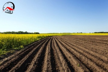 Działka, Rosocha, 20000 m²