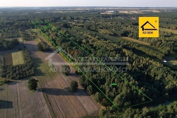 Działka, Leśniczówka, 21671 m²