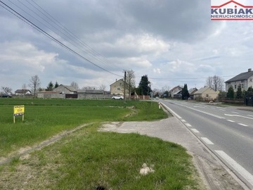 Działka, Dąbrowa, Korytnica (gm.), 4873 m²