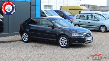 Audi A3 1.6 MPI 102ps, Instalacja LPG, Skory, ...