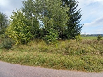 Działka, Świerki, Nowa Ruda (gm.), 1500 m²