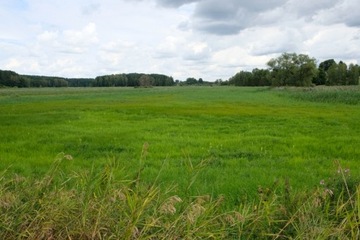 Działka, Bartąg, Stawiguda (gm.), 27517 m²