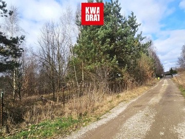 Działka, Osowiec, 1500 m²