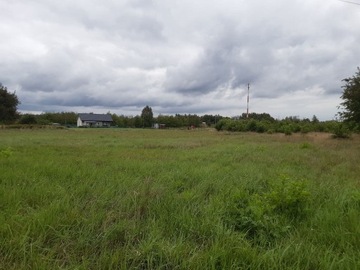 Działka, Nowa Dęba, 8273 m²