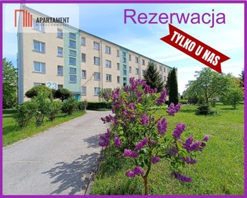 Mieszkanie, Pelplin, Pelplin (gm.), 40 m²