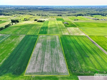 Działka, Świerszczów, 21900 m²