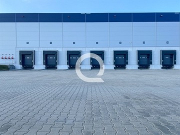 Magazyny i hale, Świebodzin, 3680 m²