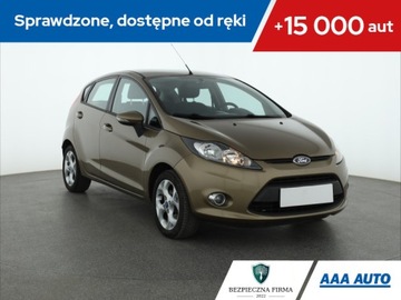 Ford Fiesta 1.25 i, Salon Polska, 1. Właściciel