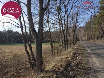 Działka, Czarne Błoto, 3000 m²