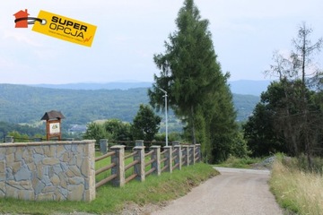 Działka, Wola Radziszowska, 4636 m²