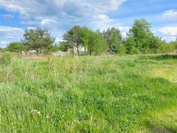 Działka, Krzewina, Halinów (gm.), 800 m²