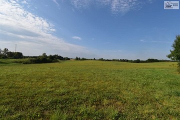 Działka, Tuławki, Dywity (gm.), 3006 m²