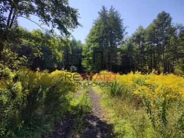 Działka, Budy Zaklasztorne, 1100 m²