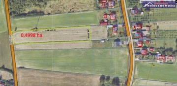 Działka, Szewna, Bodzechów (gm.), 4998 m²