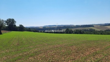 Działka, Brzuchania, 44888 m²