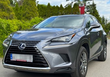 Lexus NX 1WL ASO Salon PL FV23 AWD Hybryda Kam...