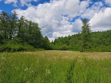 Działka, Duląbka, Dębowiec (gm.), 7600 m²