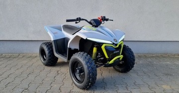 CFMoto Inny NEW C FORCE EV110 od Muddy