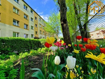 Mieszkanie, Tarnów (gm.), 45 m²