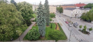 Mieszkanie, Gliwice, Śródmieście, 65 m²