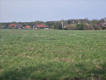 Działka, Dobiesz, 1502 m²