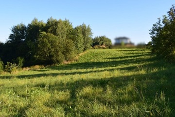 Działka, Tyczyn, Tyczyn (gm.), 4713 m²