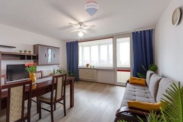 Mieszkanie, Zielona Góra, 51 m²
