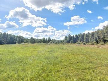 Działka, Dobre, Dobre (gm.), 15100 m²