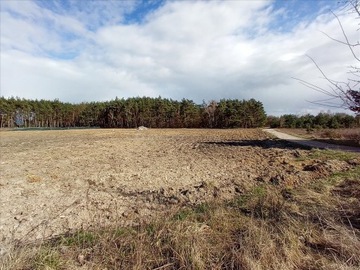 Działka, Lubicz Dolny, 8500 m²