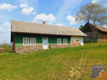 Dom, Bełdno, Żegocina (gm.), 80 m²