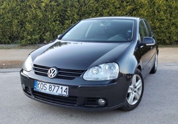 Volkswagen Golf Volkswagen VW Golf V 2.0 TDI ...