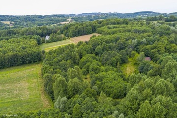 Działka, Buchcice, Tuchów (gm.), 11482 m²
