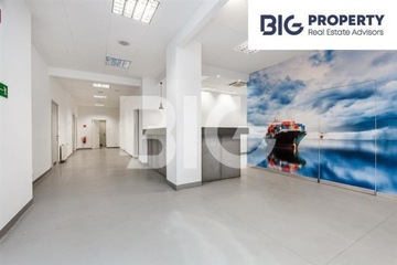 Biuro, Gdynia, Śródmieście, 261 m²
