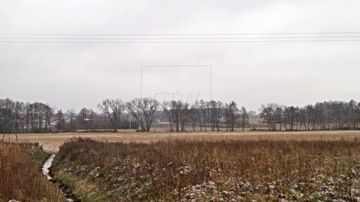 Działka, Grójec, Grójec (gm.), 5540 m²