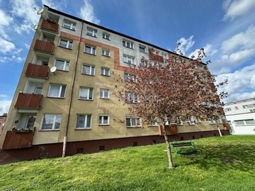 Mieszkanie, Starogard Gdański, 27 m²