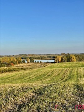 Działka, Wilimy, Biskupiec (gm.), 67700 m²