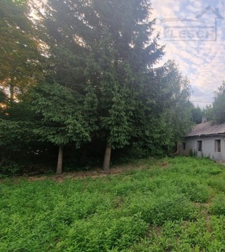 Działka, Kajetany, Nadarzyn (gm.), 2273 m²