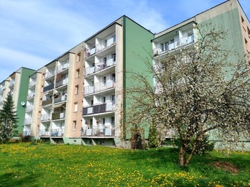 Mieszkanie, Bytom, Miechowice, 49 m²