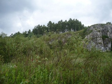 Działka, Rączna, Liszki (gm.), 5500 m²