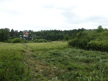 Działka, Pluski, Stawiguda (gm.), 3000 m²